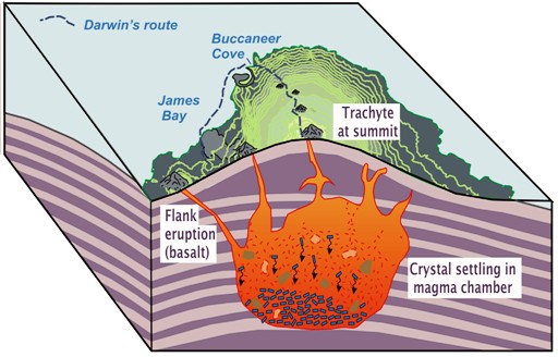 Schematic illustration to show how Darwin might have envisioned magmatic processes beneath a volcanic island, based on his findings on James Island.
